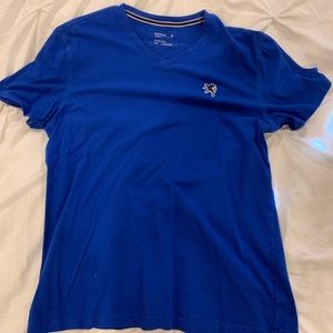 Large blue Express V neck shirt